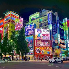 Japon  Tokyo : La métropole énergique